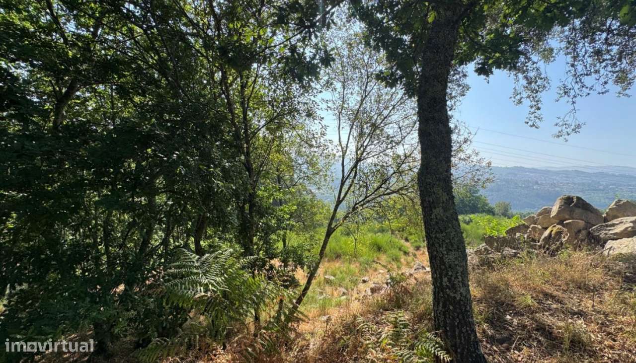 Venda Terreno, Boelhe, Penafiel-12