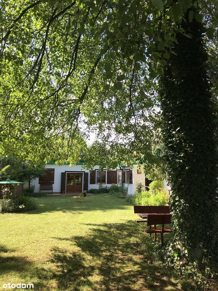 Duża zabudowana działka w Nosach-Poniatkach-19