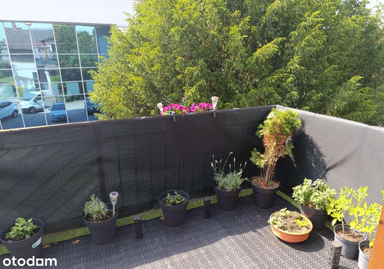 Polowa kamienicy z potencjałem| 200 m² | Garaż z kanałem | Taras 24 m² - Pełny obrazek: 4/17