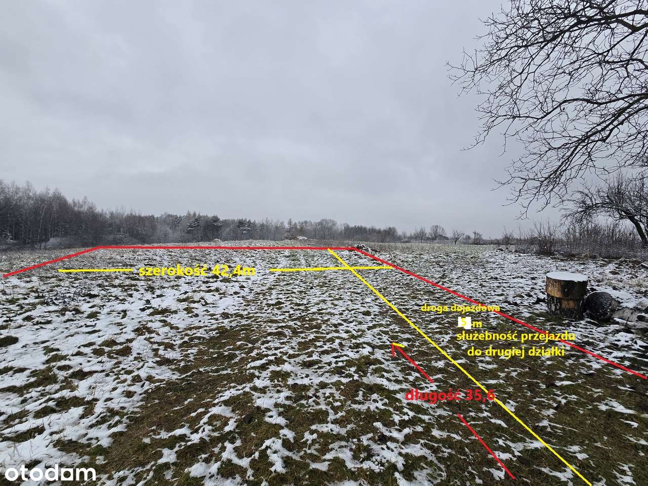 Duża szeroka działka w drugiej linii zabudowy Najdziszów-0