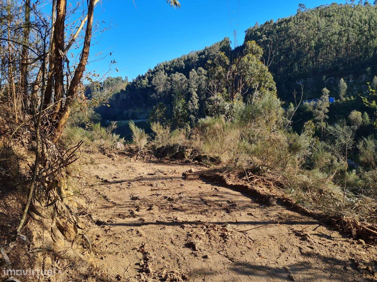 Quinta das Fontainhas, Rio de Moinhos, Penafiel-24
