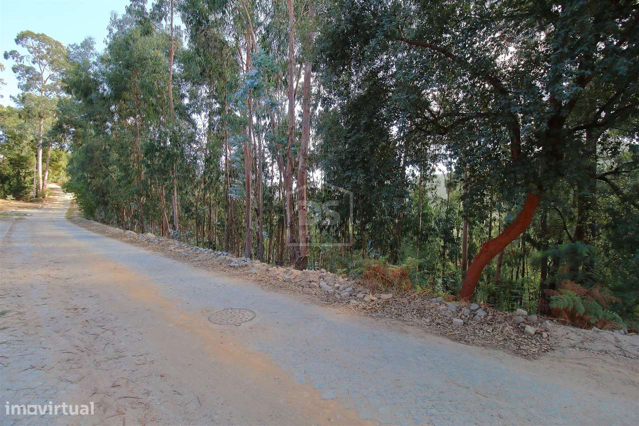 Terreno Para Construção  Venda em Raiva, Pedorido e Paraíso,Castelo de - Grande imagem: 4/14