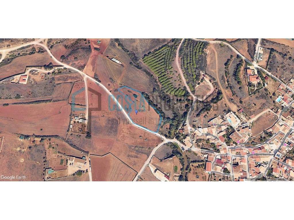 Terreno Rústico com Potencial Agrícola na Raposeira - Grande imagem: 4/14