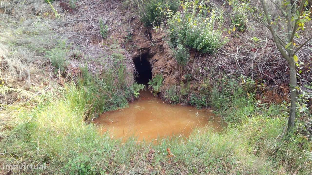 Quinta na Serra de Monchique - Grande imagem: 4/11