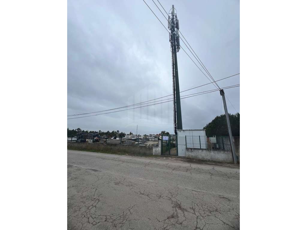 Terreno industrial com 5000 m2 para venda em Vila Amélia - Grande imagem: 4/4