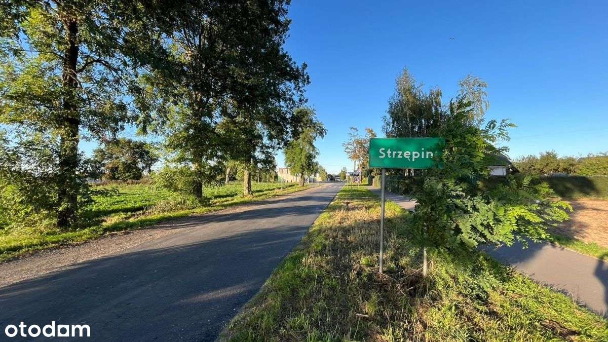 Gospodarstwo rolne (2,5439 ha) Strzępiń-0