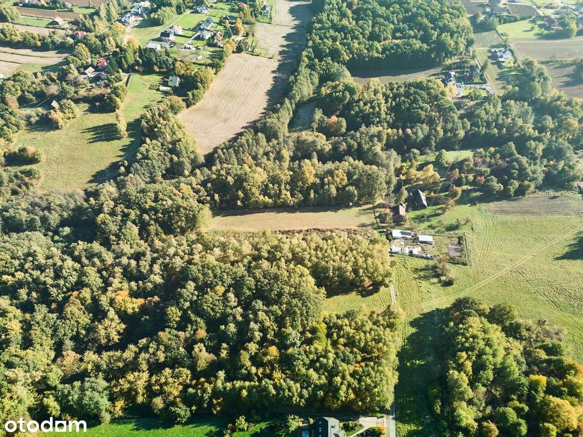 Działka rekreacyjna w cichej okolicy-11