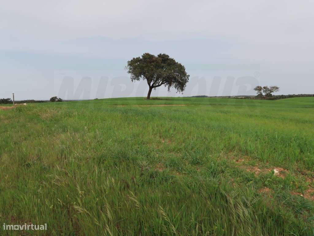 Quinta em excelente localização-23