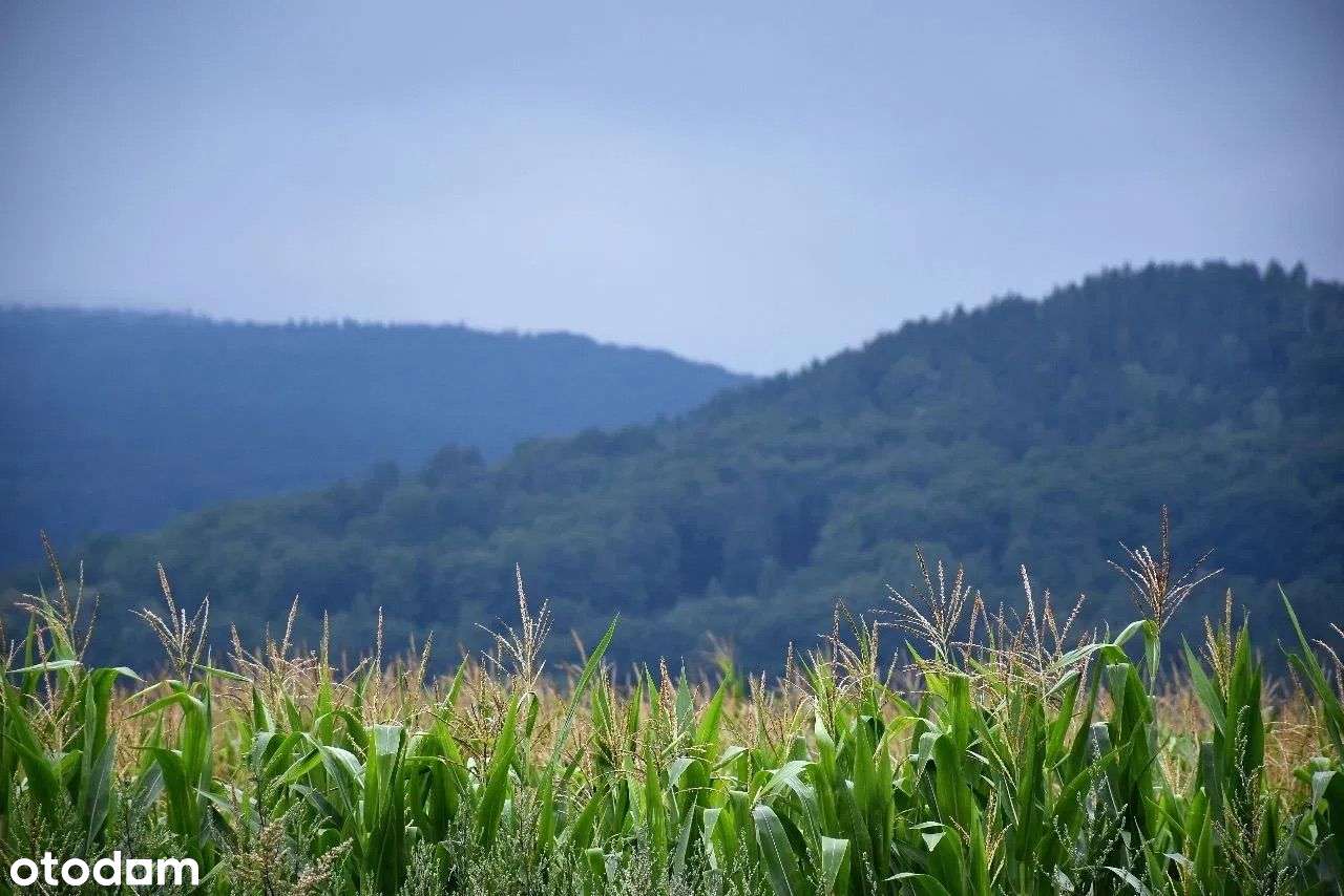 Działki BUDOWLANE- woda, prąd i kanalizacja PROMOCJA DO KOŃCA ROKU!-11