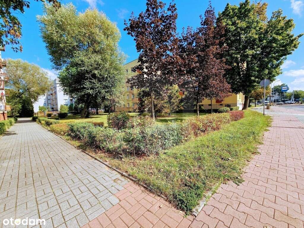 Okazja!!! Kawalerka do wejścia | Balkon | 31M-5