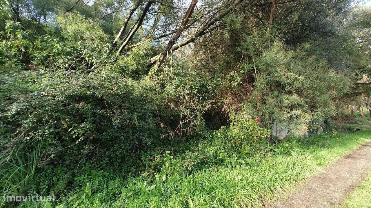 Terreno rústico - 19.176 m2 em S. Cruz do Bispo - Matosinhos - Grande imagem: 4/10