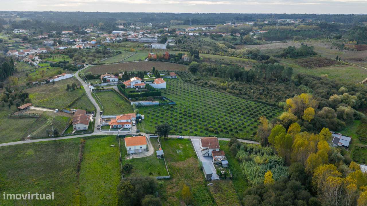 TERRENO– SANGALHOS, ANADIA-6