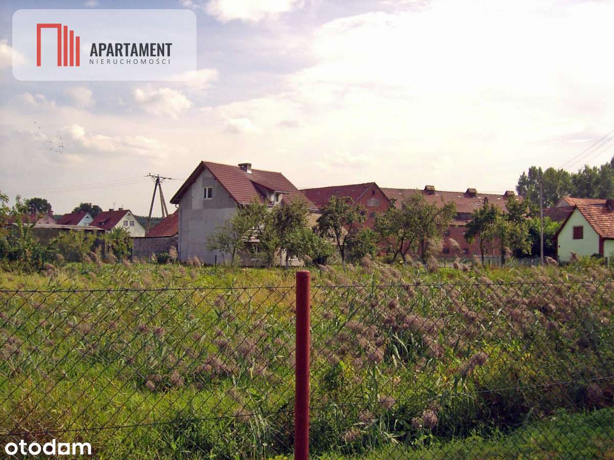 Działka/29 Arów/Stęszów - Pełny obrazek: 4/4