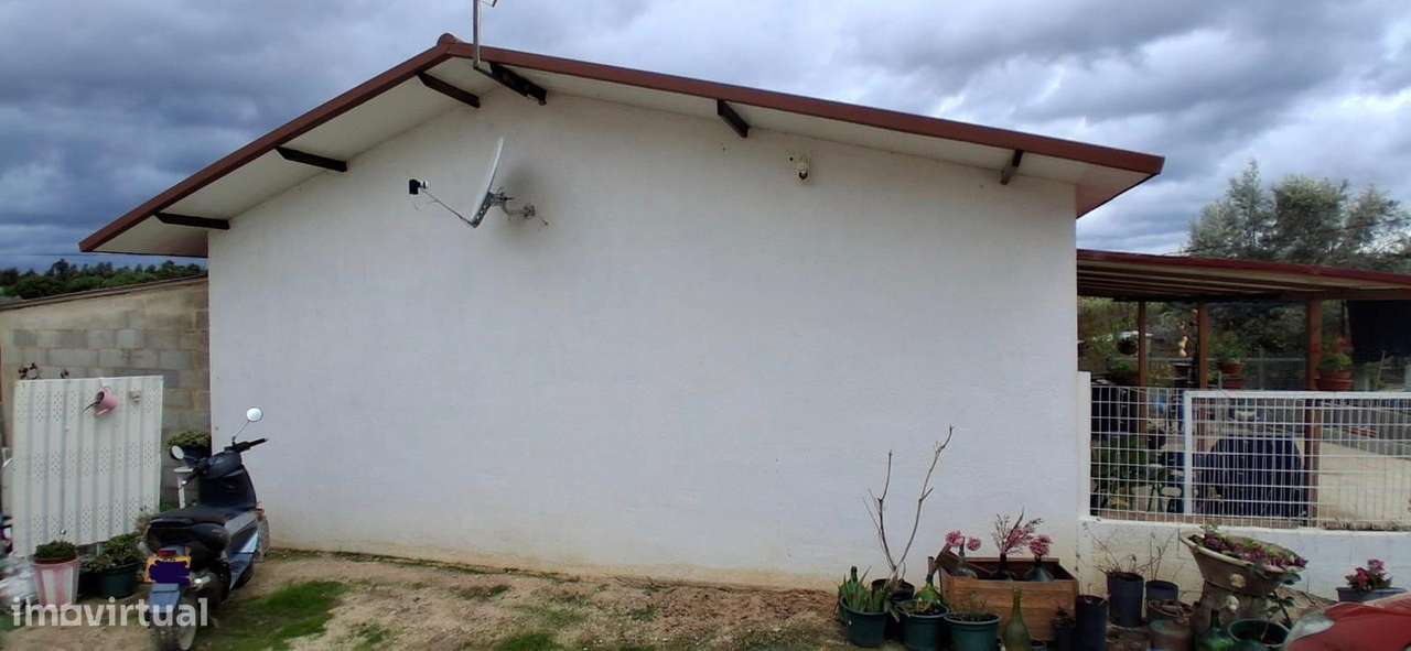 Quintinha  Rústica - Ameixial - Grande imagem: 4/20