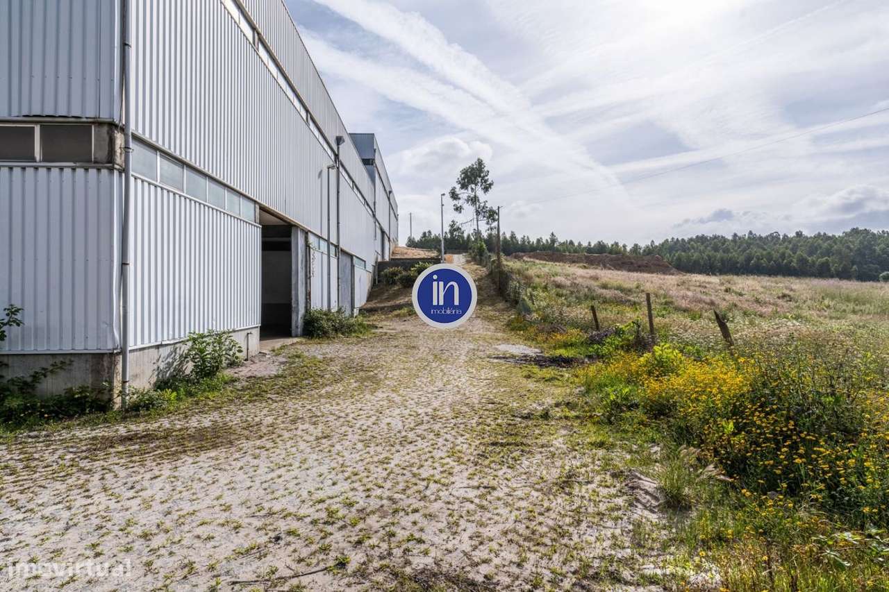 Armazém em Ribeirão-28