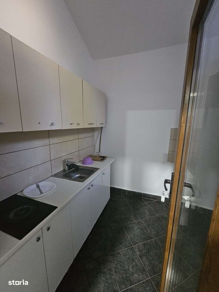 Proprietate speciala Dumbravita - casa individuala !! - Imagine principală: 5/20