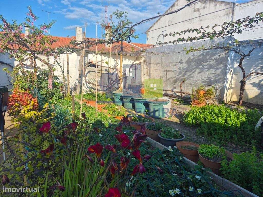 Moradia T3 com quintal, terraço e garagem | Pias-30