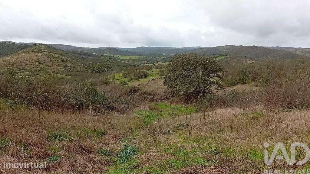 Terreno Agrícola em Ameixial - Grande imagem: 2/9