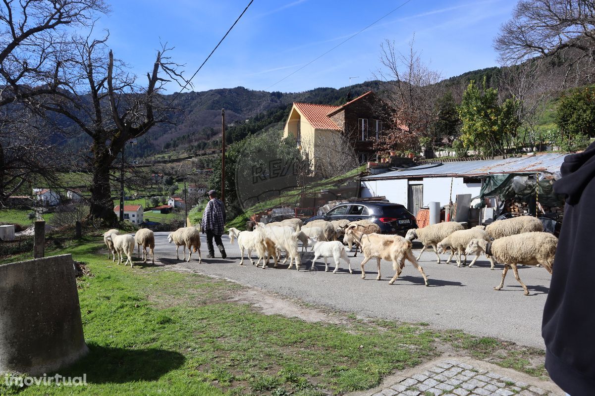 Quinta  para venda