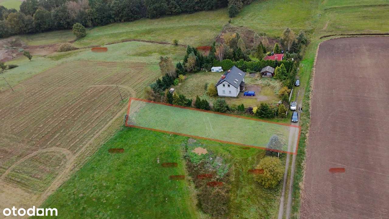 Działka z warunkami zabudowy jednorodzinnej | 1003 m² | Przetoczyno-0