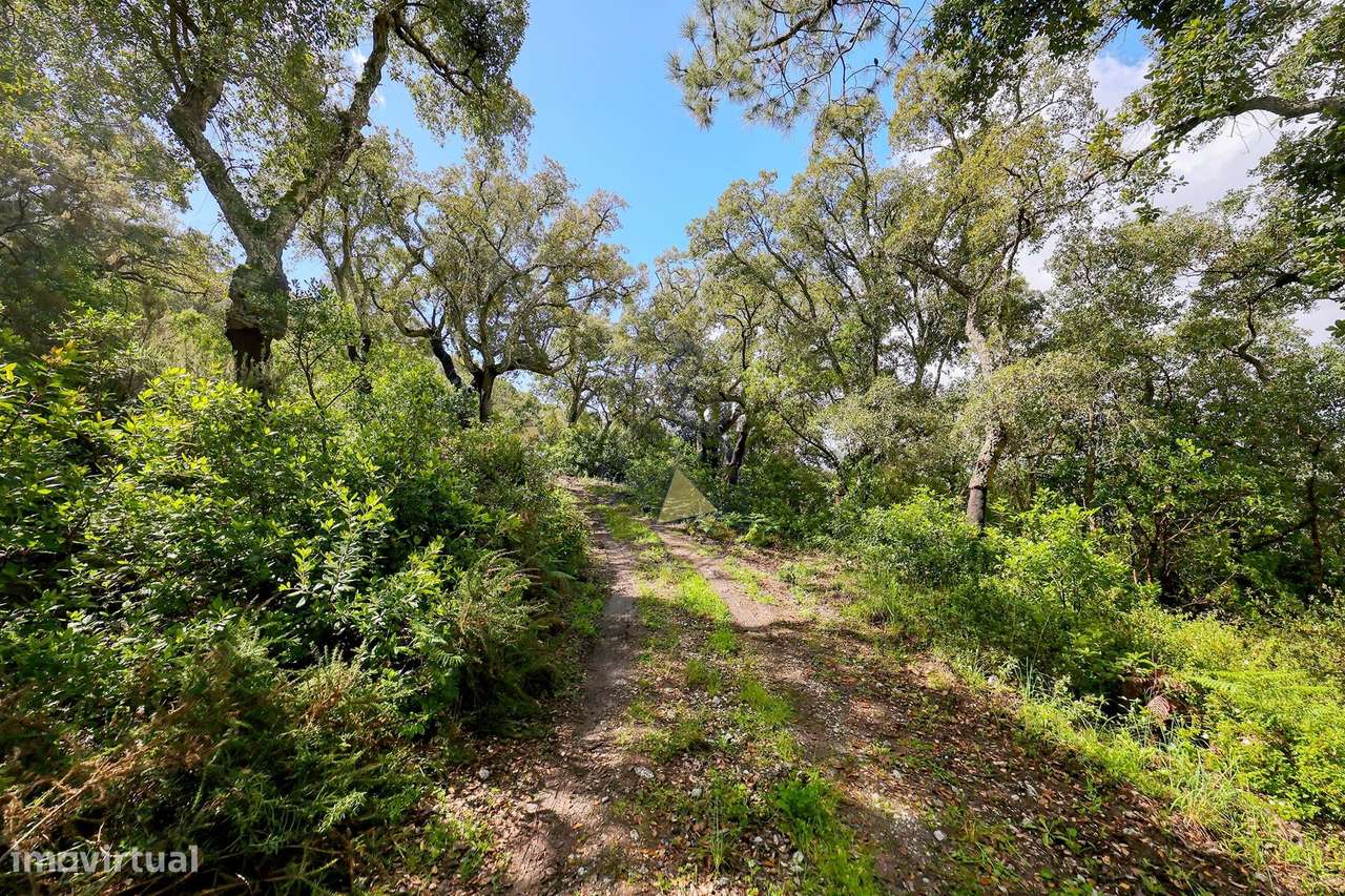 Quintinha T2  com Vista Panorâmica e Deslumbrante  para a serra em Mon - Grande imagem: 5/31
