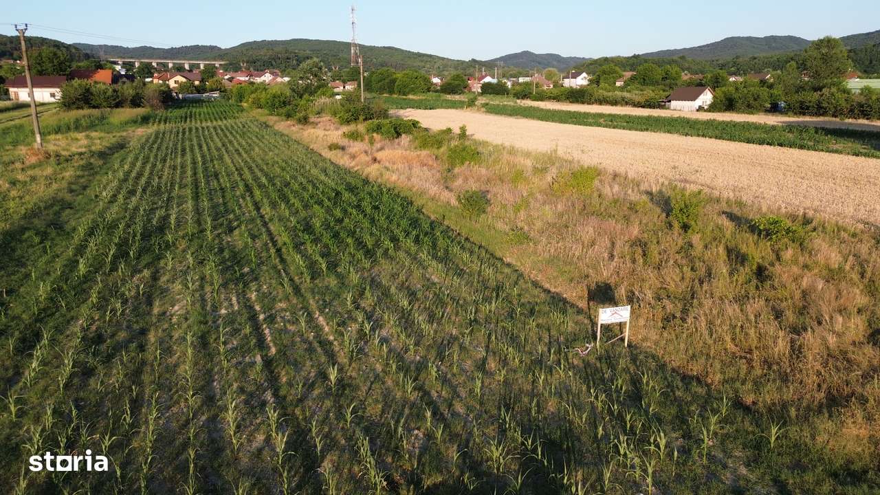 OFERTA /  TEREN 2890 MP / ZONA BUDESTI /-0