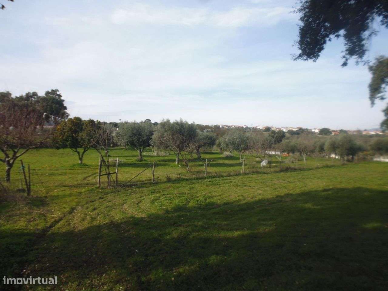 Quinta - Grande imagem: 5/8