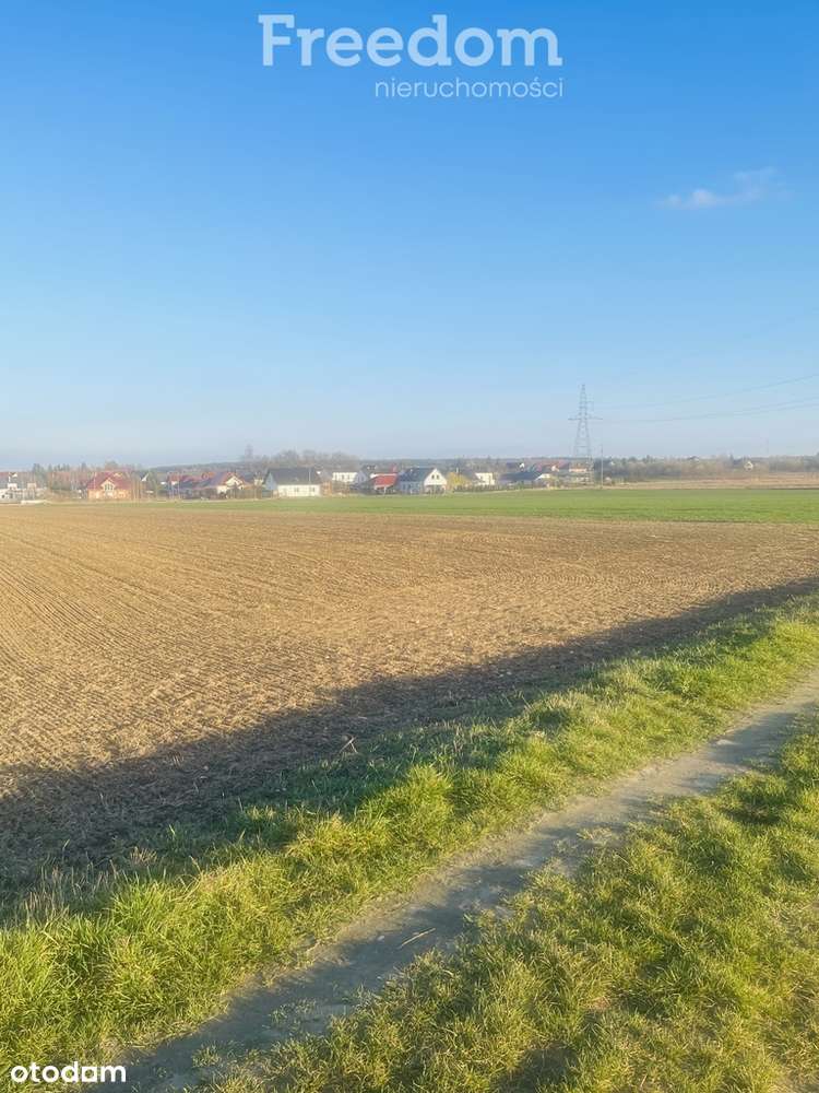 Idealna działka pod inwestycje 0,57 ha Kruszyn - Pełny obrazek: 5/5