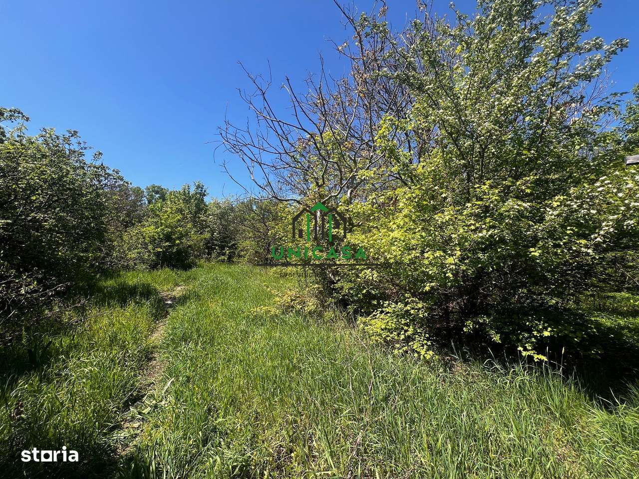 Teren intravilan/934 mp/Lenin Sud - Imagine principală: 3/5