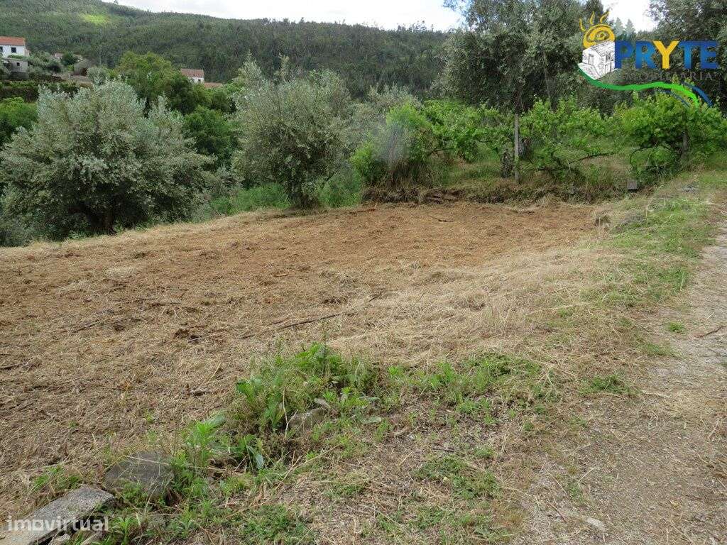 Pequena quinta a confinar com a Ribeira situada perto de Oleiros-38