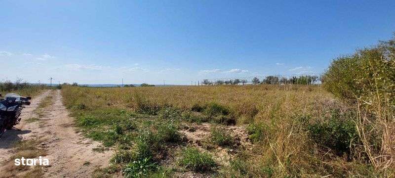 Vand teren 4400 Bradesti stradal - Imagine principală: 4/4