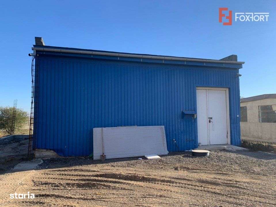 COMISION 0% Hala Industriala 500 mp cu Spatiu de Birou 200 mp in Buzia - Imagine principală: 1/14