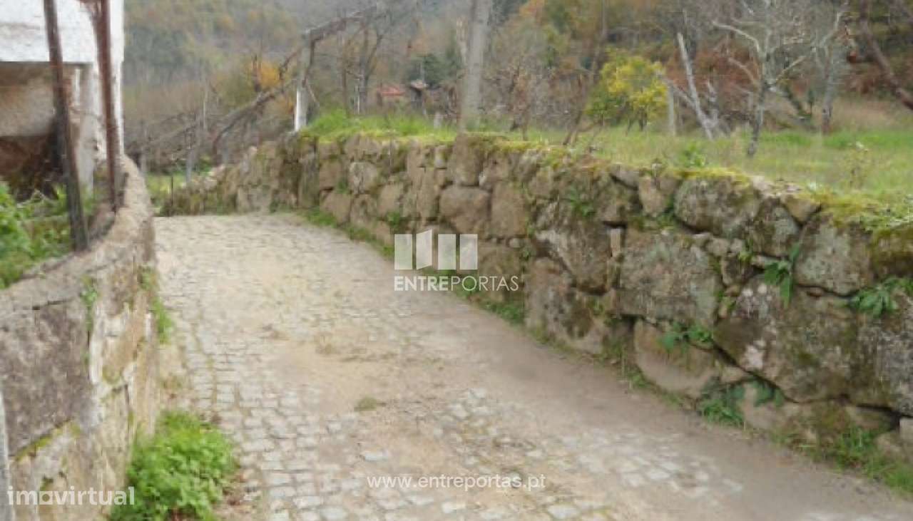 Venda Terreno,São Cristóvão de Nogueira, Cinfaes - Grande imagem: 3/30