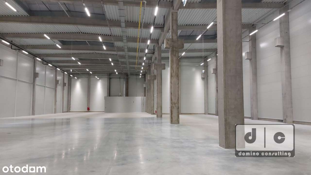 Nowa hala do wynajęcia w Zabrzu. KSSE. - Pełny obrazek: 1/4