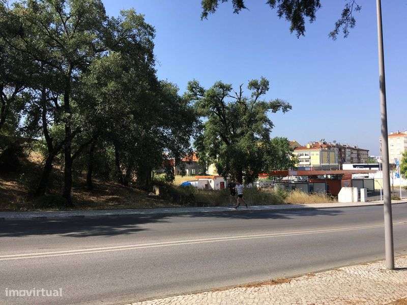 Terreno em frente ao Lidl em Tomar - Grande imagem: 4/4