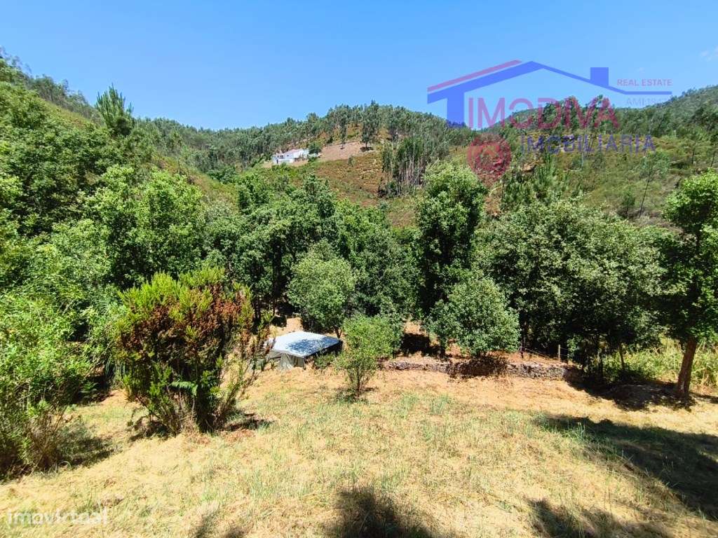 Propriedade com moradia, anexo, piscina e terreno com mais 2 ha-10