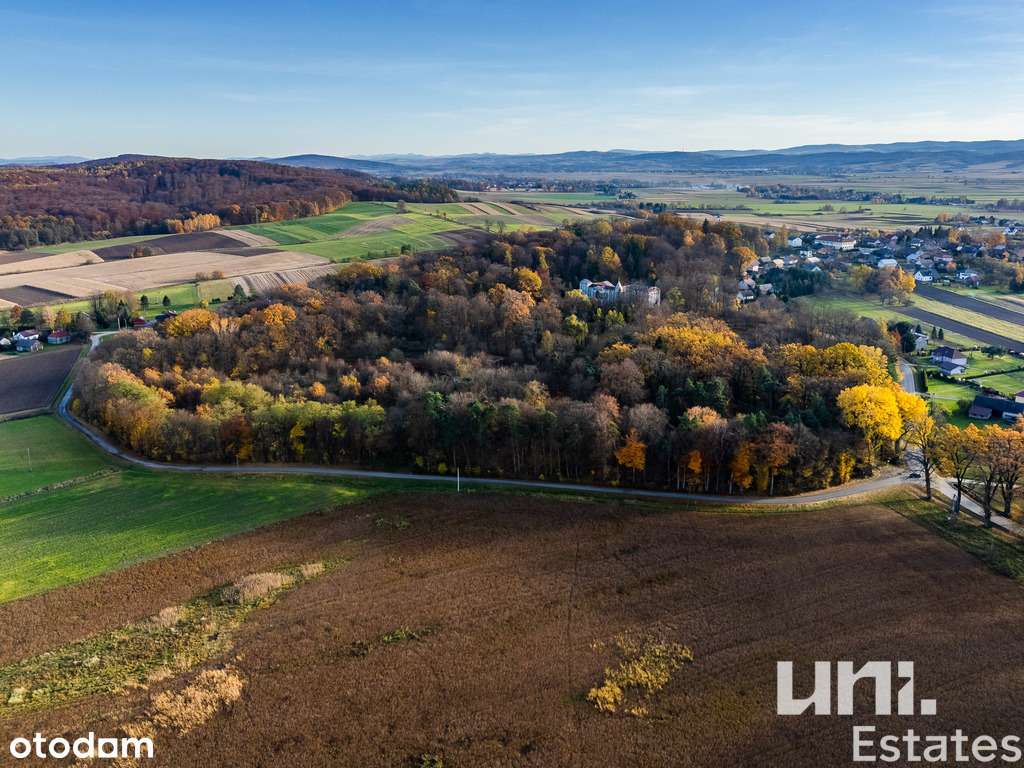 Wyjątkowy Pałac Ostaszewskich | Wzdów | Okazja-8