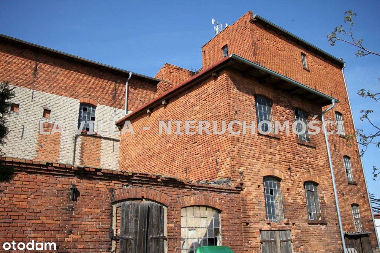 Obiekt lokal usługowo-przemysłowy w Konarach - Pełny obrazek: 5/20