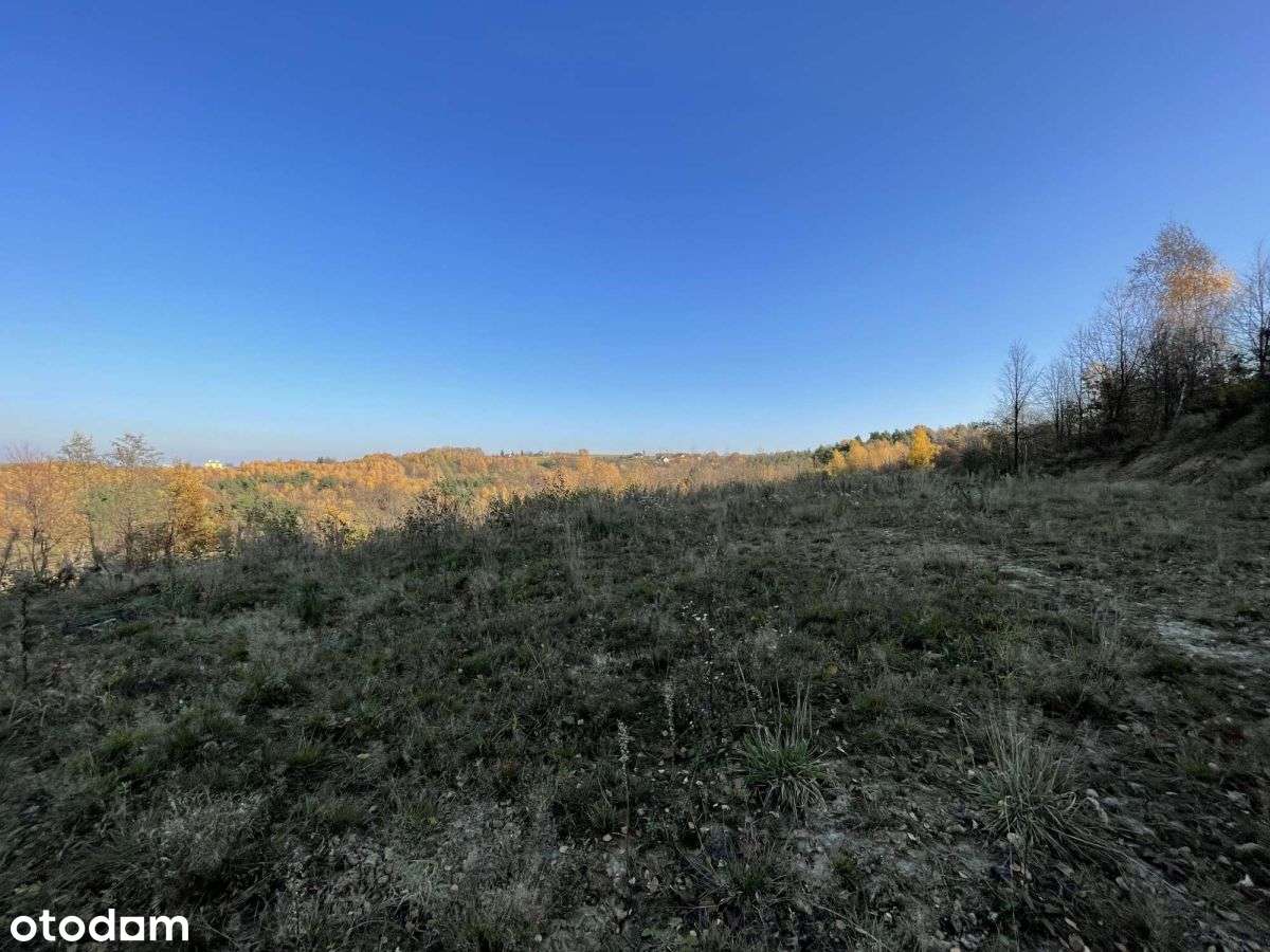 Widokowa działka 1 ha pod lasem Siedliska - Pełny obrazek: 4/10