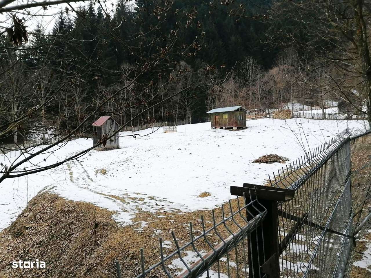 Neamt - Borca, teren 3386mp, langa padure-0