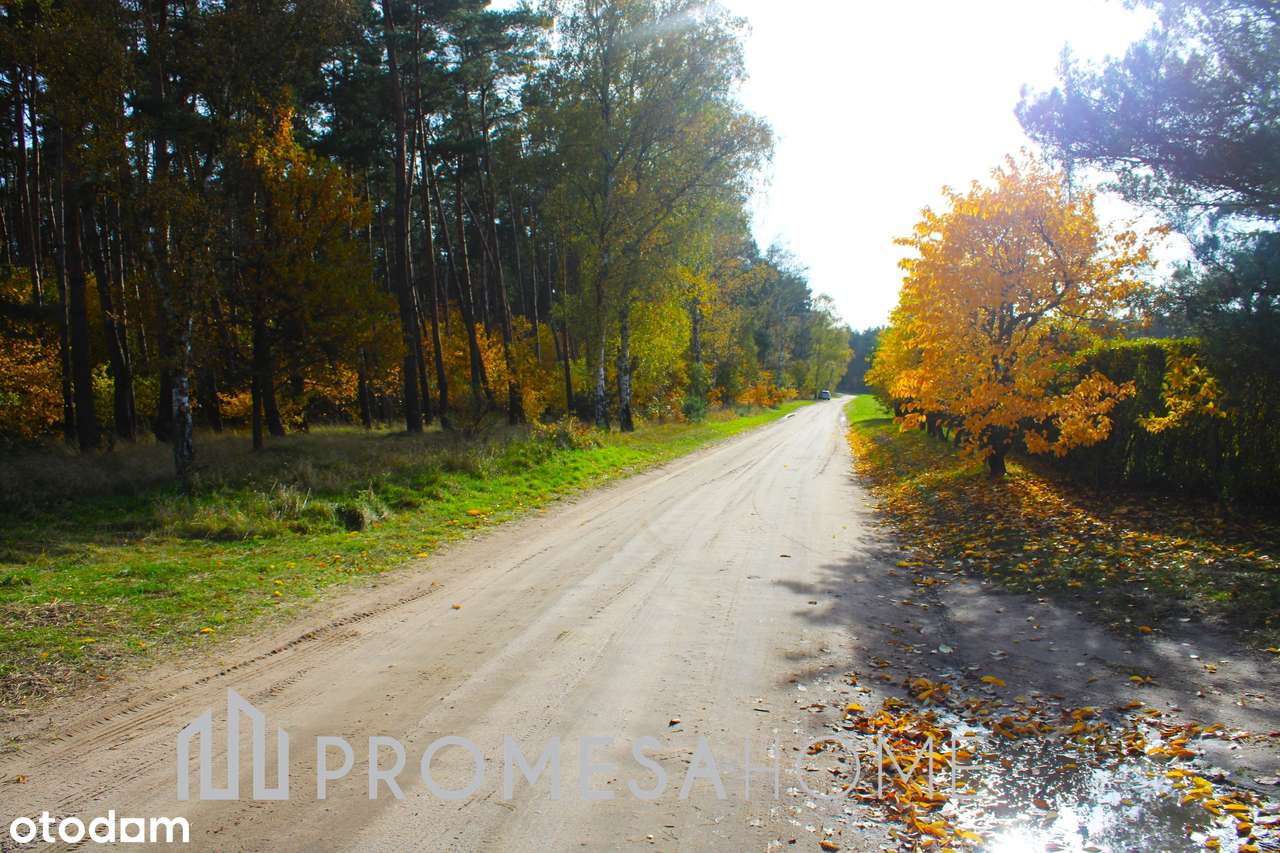 Bednary pięknie położona działka 1226m2 25min od Poznania-5