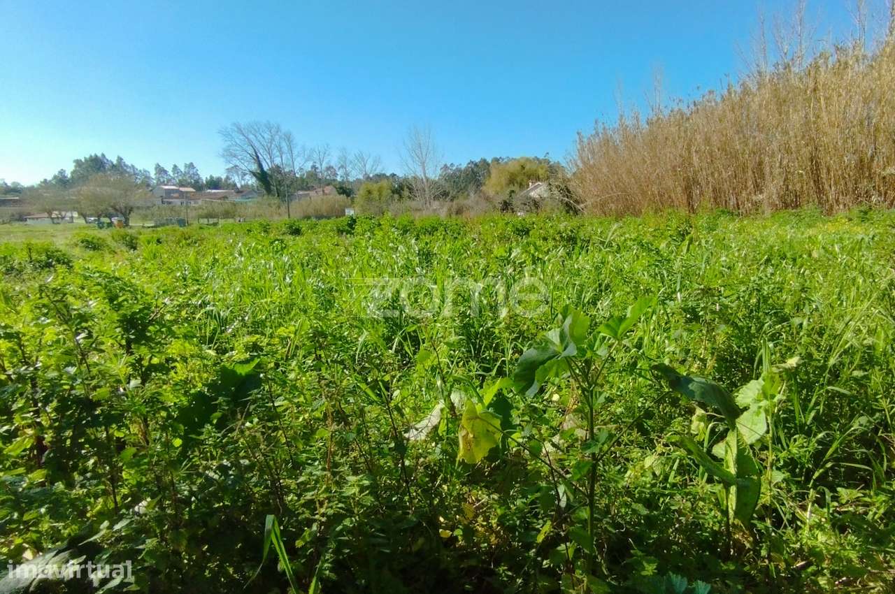 Terreno Rústico Leirão-5