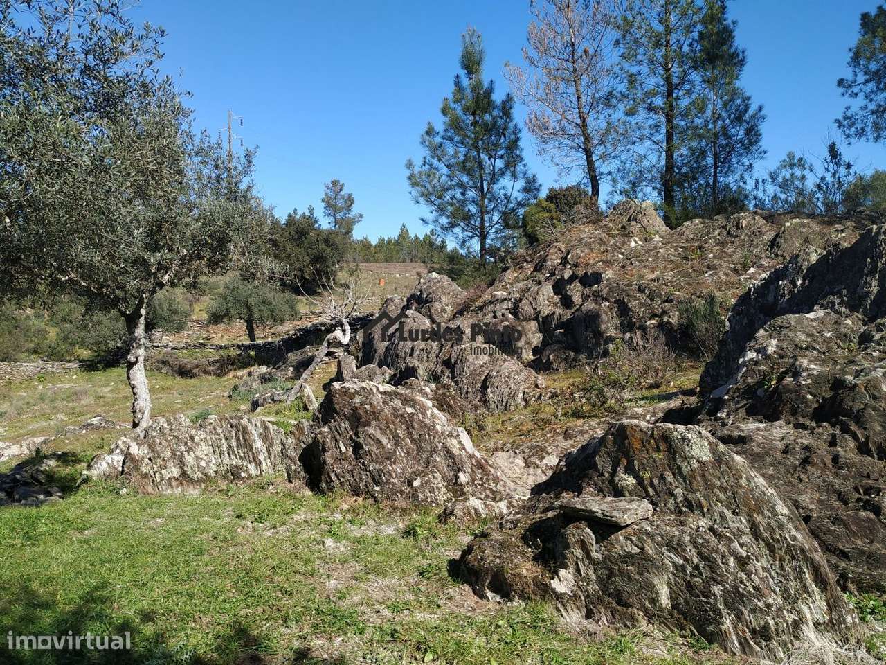 Terreno em Benquerenças-5