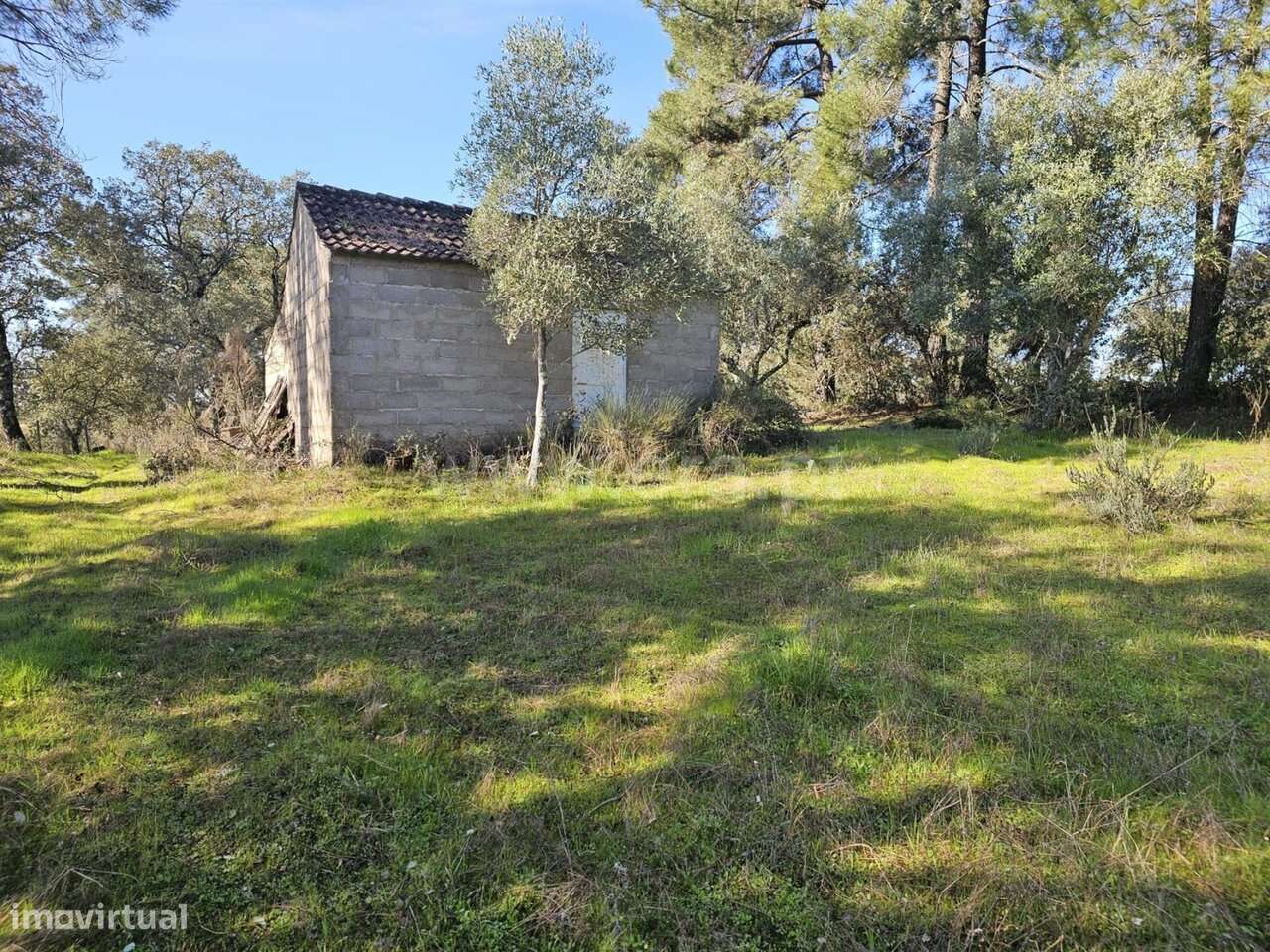 Terreno / Fundão, Orca - Grande imagem: 4/20