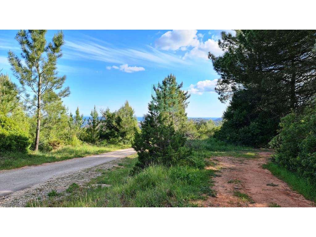 Quinta com 435.487 m2 na Serra da Arrábida, em Palmela, Setúbal-19