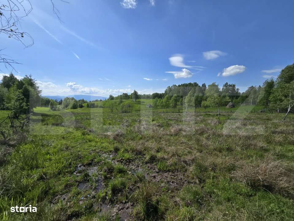 Teren extravilan 13103 mp in Dealu Mare! Oportunitate investitie! - Imagine principală: 3/3