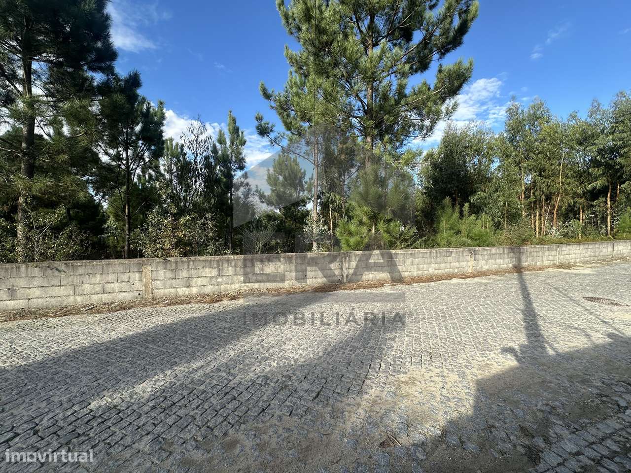 Terreno construção c/ 4.002 m² – Alvelos/ Barcelos - Grande imagem: 5/9