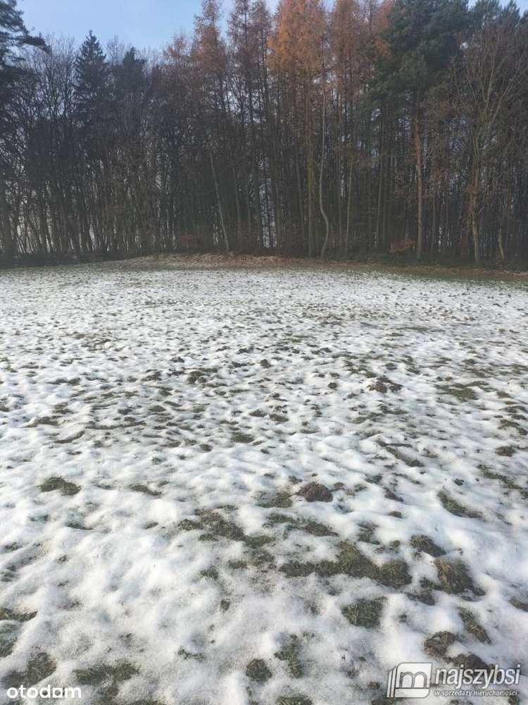 Gryfice- działka budowlana z warunkami zabudowy - Pełny obrazek: 4/10