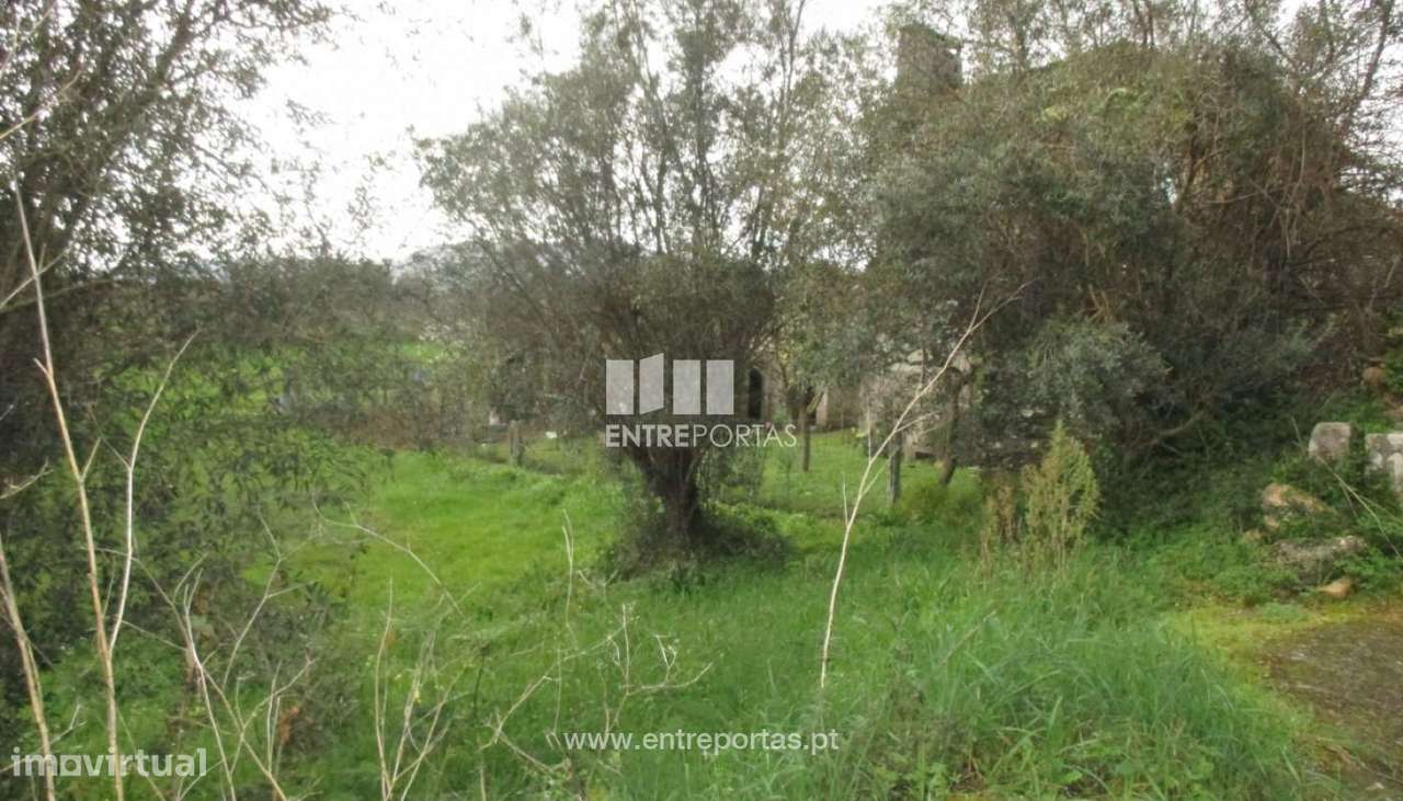 Venda de terreno com 2500m², Lanheses, Viana do Castelo - Grande imagem: 1/30