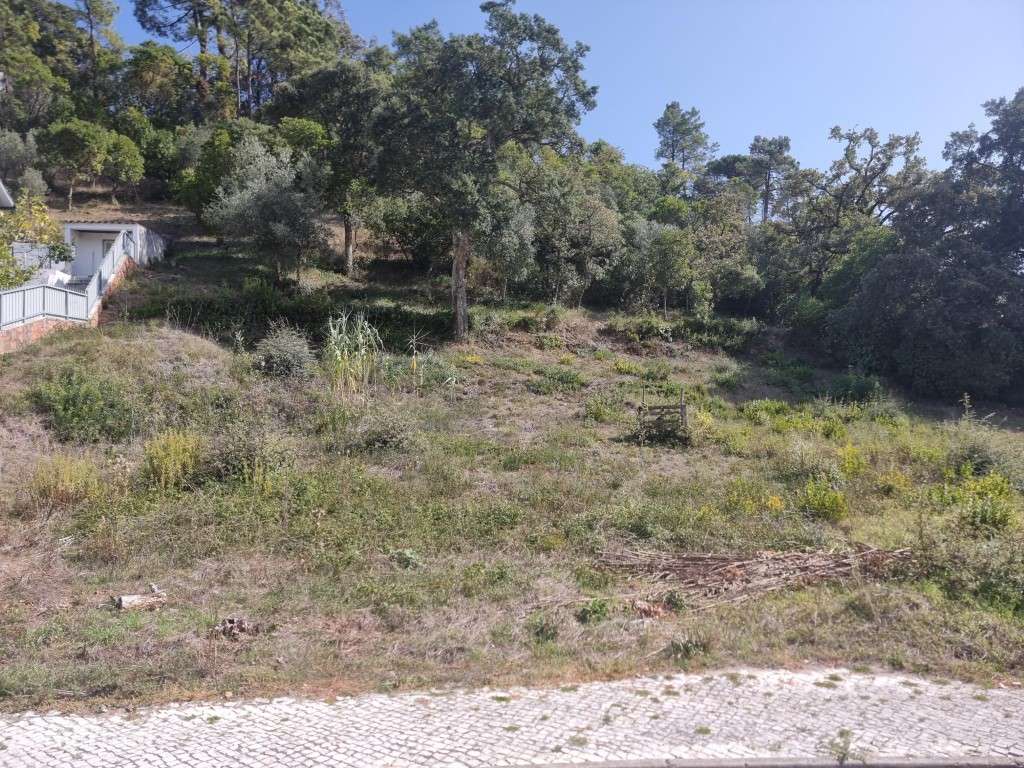 Lote - São Romão -Leiria-0